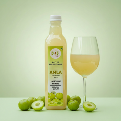 Amla / Gooseberry Sugar Free Juice | आवळा ज्युस