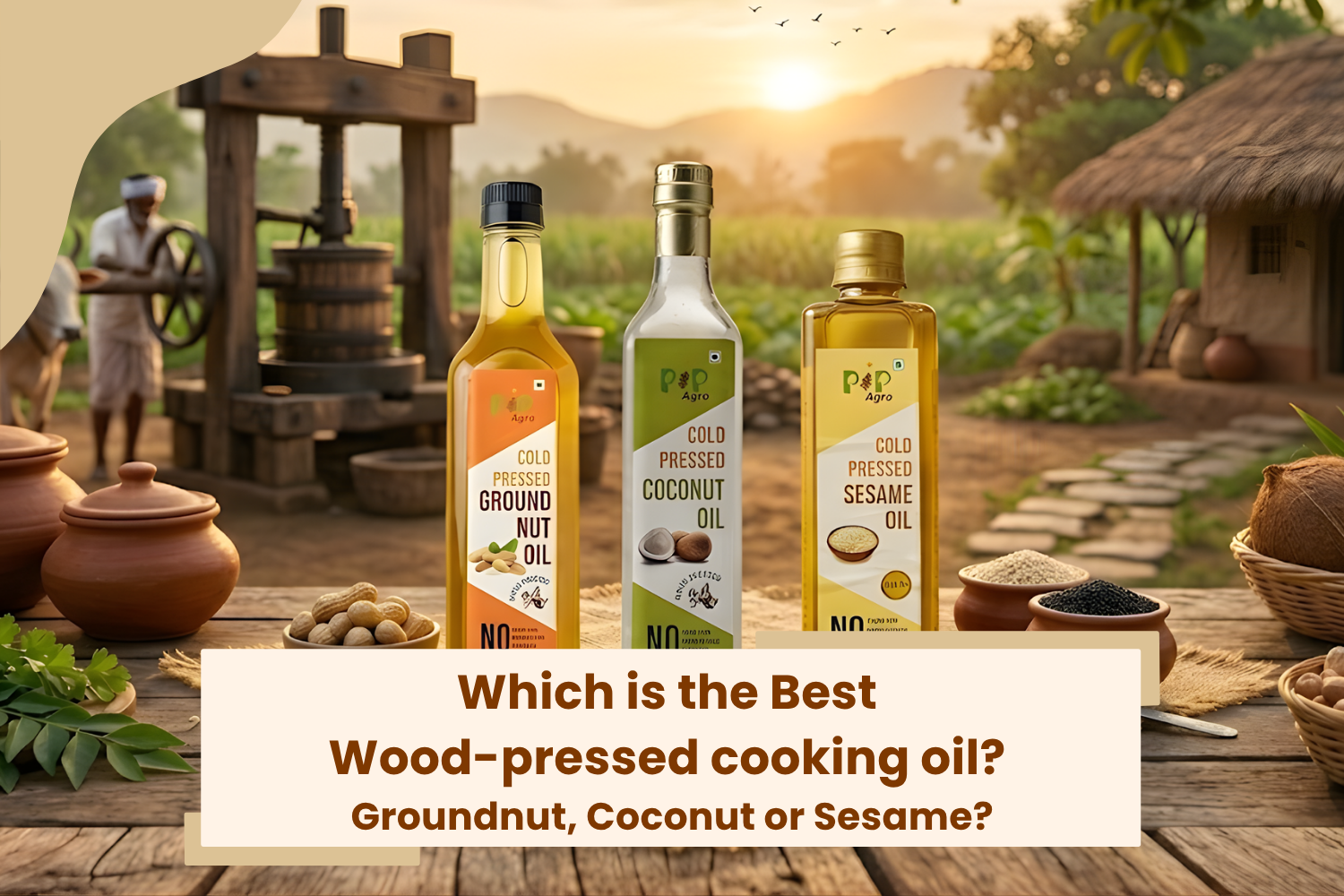Which is the Best Wood Pressed Cooking Oil? Groundnut, Coconut or Sesa ...