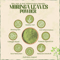 Moringa Leaves Powder | Drumstick Leaf Powder | मोरिंगा पावडर