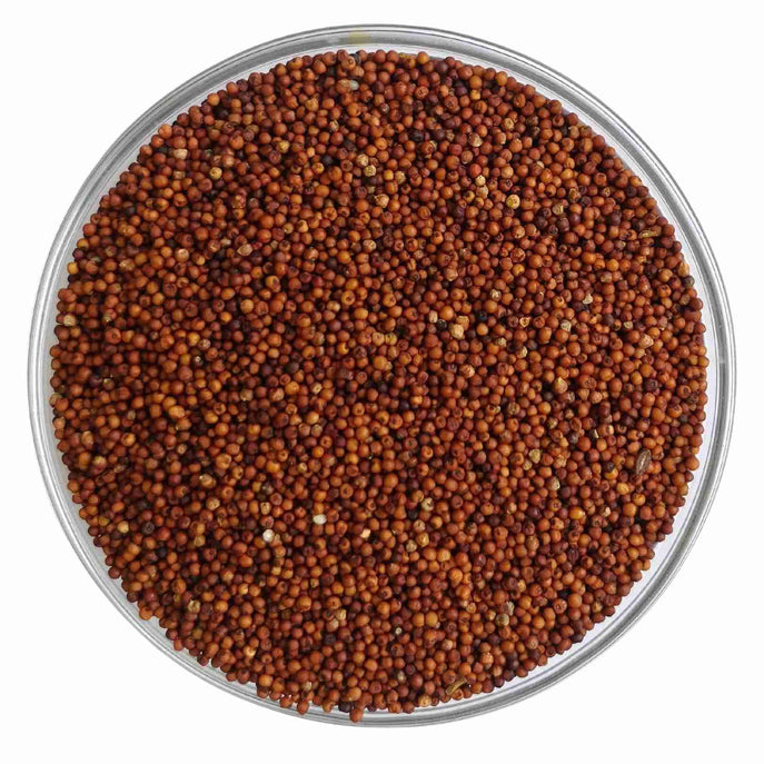 Finger Millet / Nachani / Ragi | लाल नाचणी
