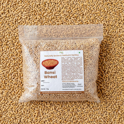 Bansi Wheat | बन्सी गहू