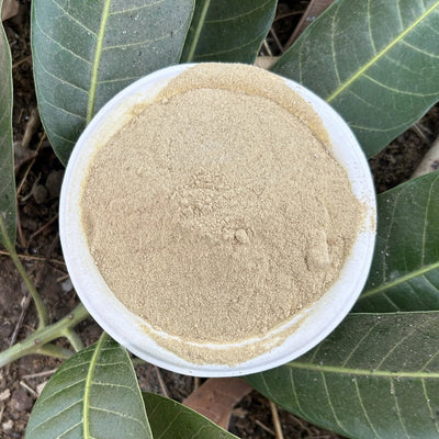 Bhat Kaka's Ambehalad Powder | आंबेहळद पावडर