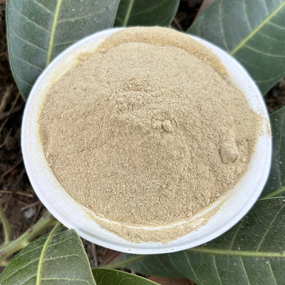 Bhat Kaka's Ambehalad Powder | आंबेहळद पावडर